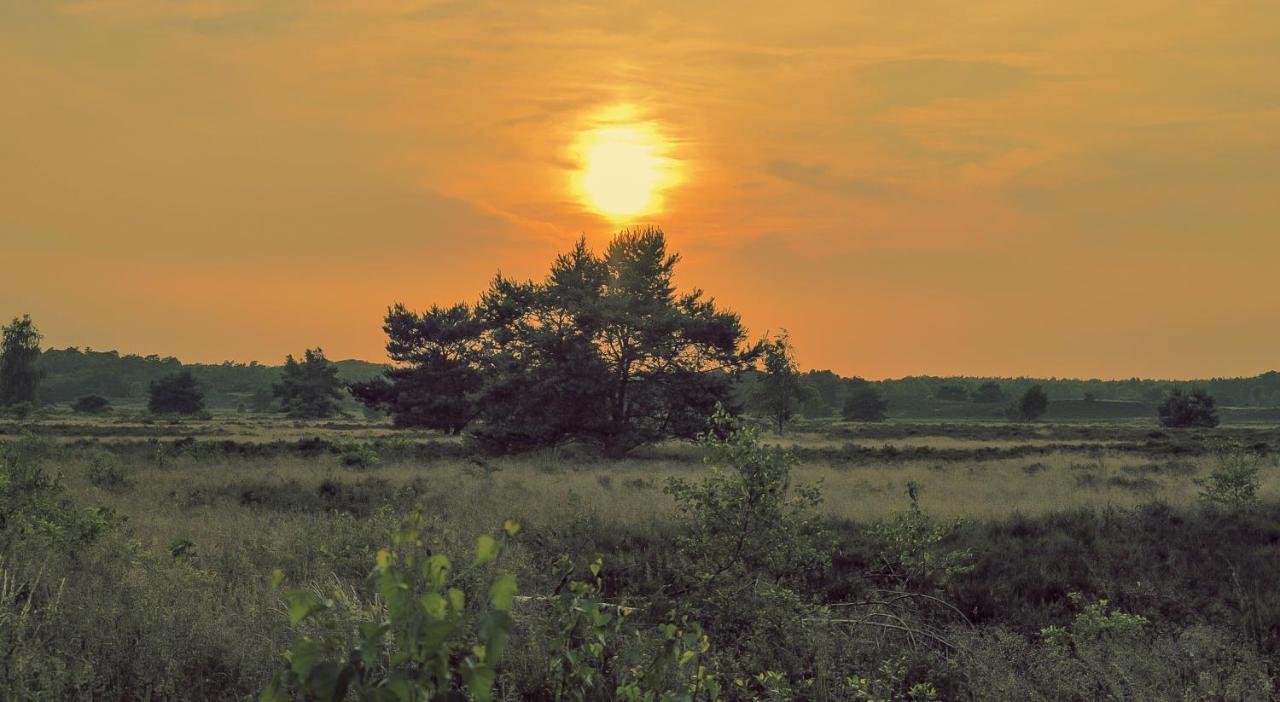Lodge Goudvink Nunspeet Veluwe エクステリア 写真
