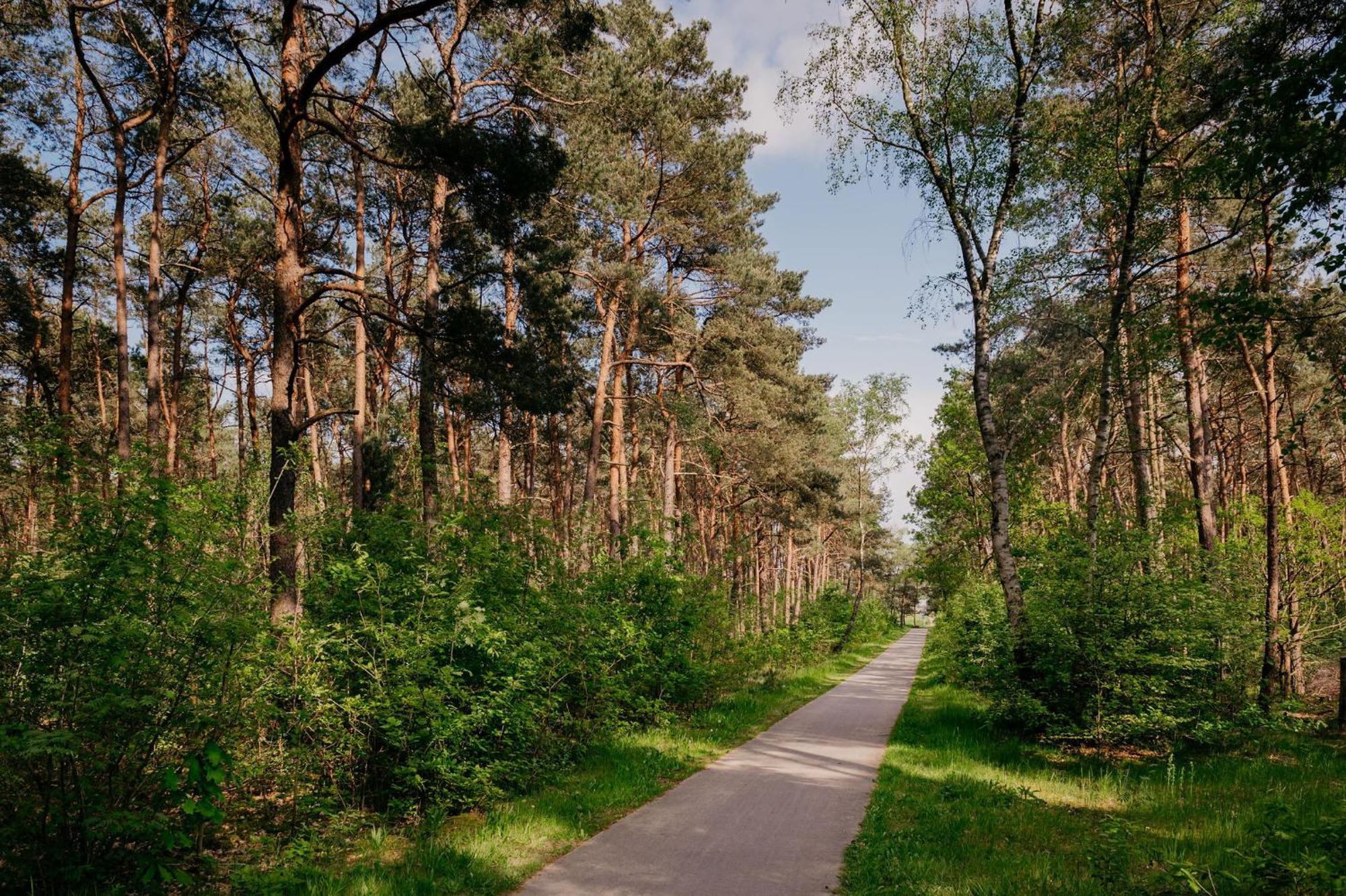 Lodge Goudvink Nunspeet Veluwe エクステリア 写真